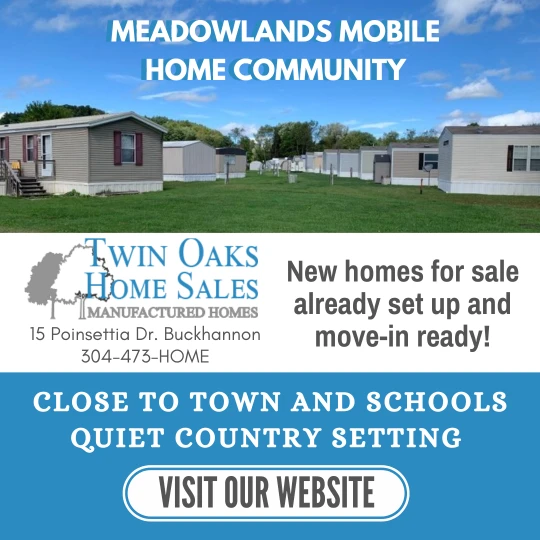 Home Sales in Twin Oaks
