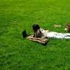 A woman uses a laptop while lying on the grass in a park in the New York City borough of Manhattan on April 24, 2026.