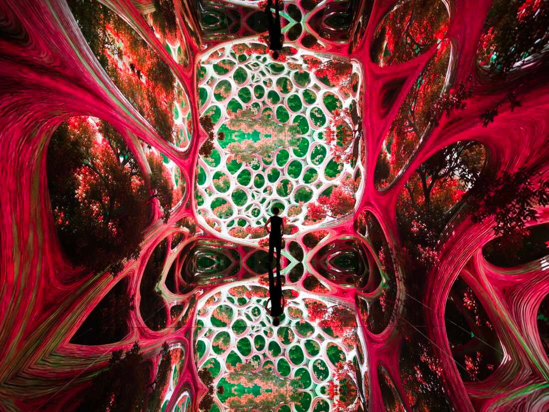 At AI art museum Dataland, Refik Anadol says, “Machines are collaborators”: NPR 16 Artists' Representations of Machine Dreams: Rainforest, DATALAND, Los Angeles, California, June 20, 2026 – January 31, 2027.