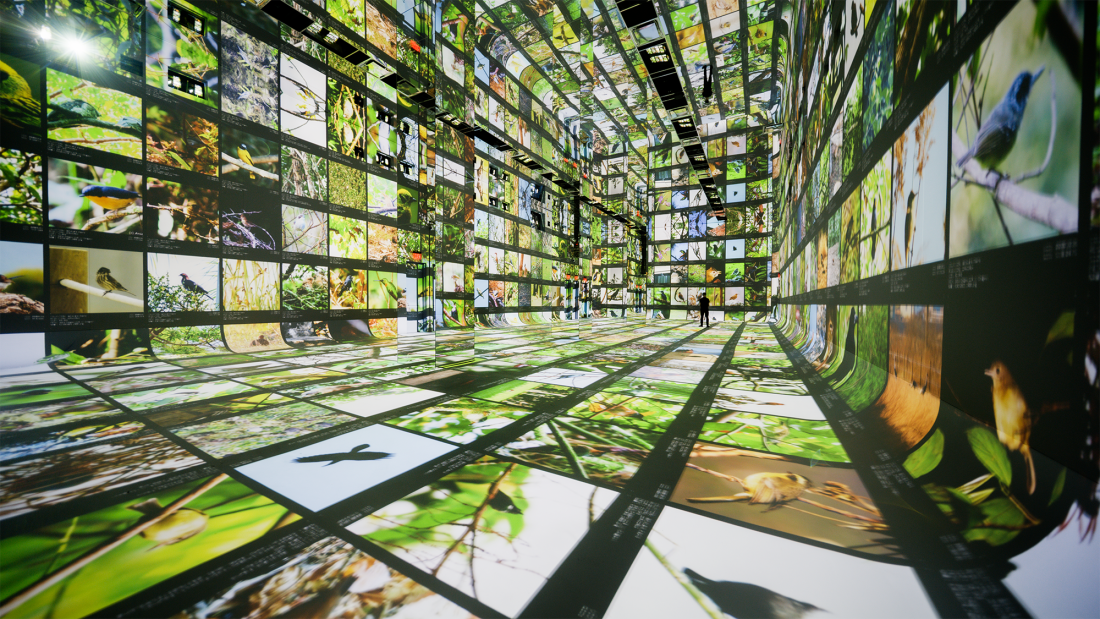 At AI art museum Dataland, Refik Anadol says, “Machines are collaborators”: NPR 12 Installation view of Machine Dreams: Rainforest, DATALAND, Los Angeles, California, June 20, 2026 – January 31, 2027.