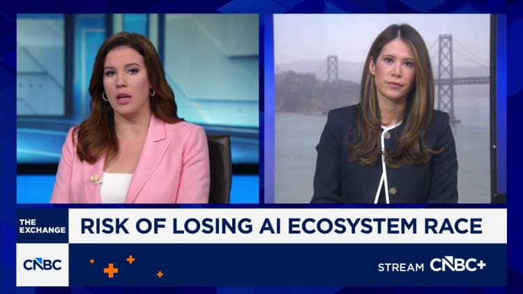 Restricting access to top AI models in the US could give China an opportunity as the capacity gap narrows